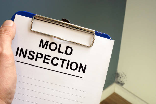 Best Industrial Mold Remediation  in Newington Forest, VA